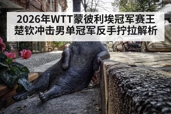 2026年WTT蒙彼利埃冠军赛王楚钦冲击男单冠军反手拧拉解析